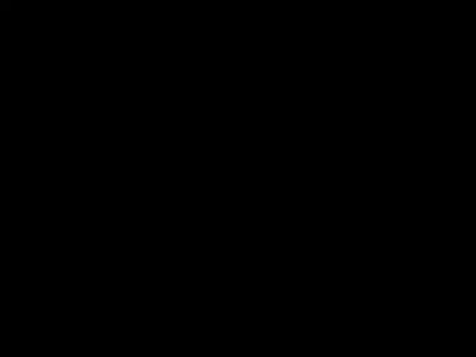 锁技大师 韩国三级在线
